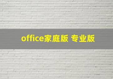 office家庭版 专业版